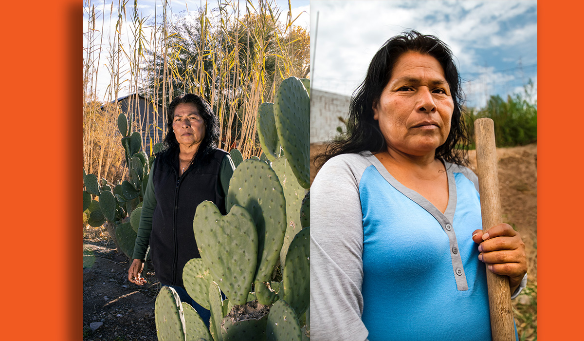 With ‘Fronterizx,’ UTSA Arts debuts new contemporary art exhibition