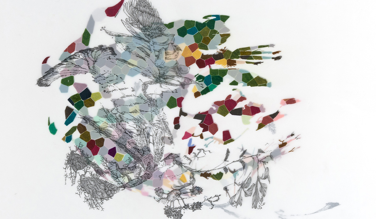 UTSA Arts exhibit, ‘Thorns & Living Systems,’ opens Friday at Southwest Campus