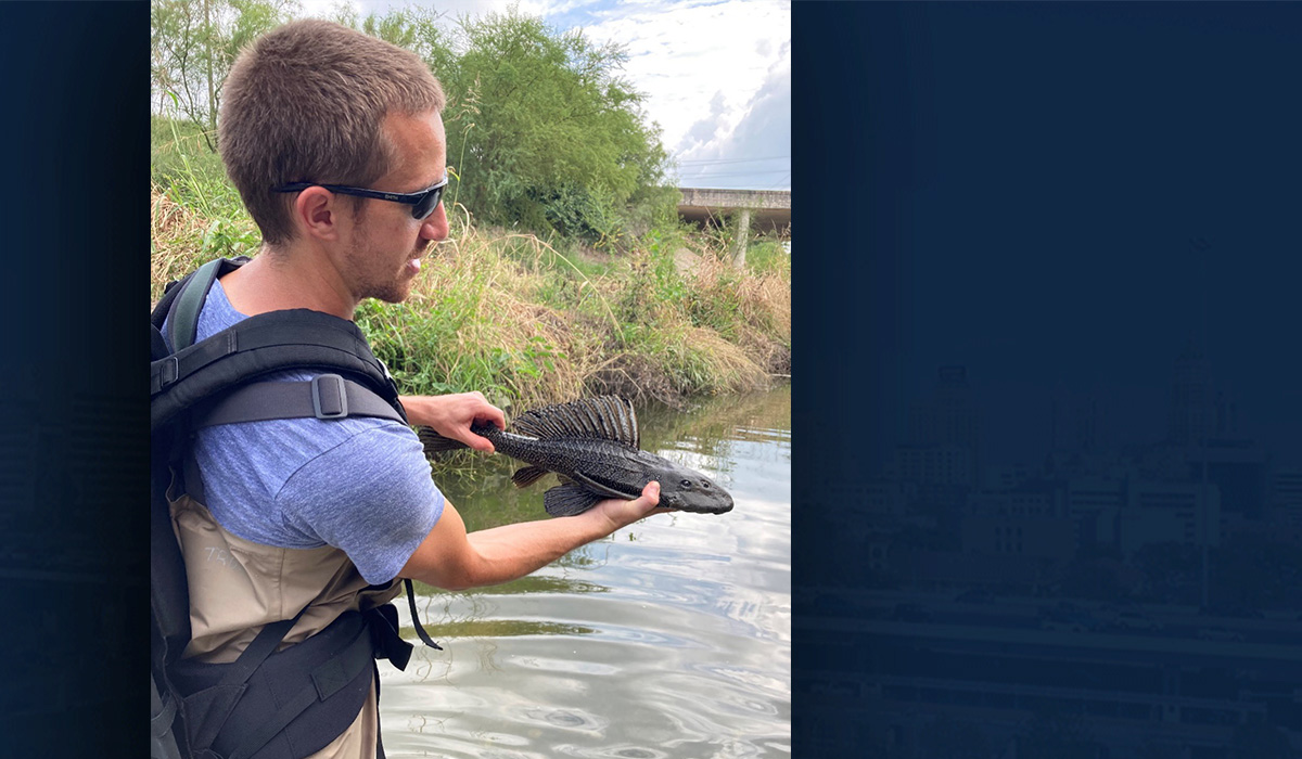 Urban heat and freshwater fish research is funded by NSF CAREER Award