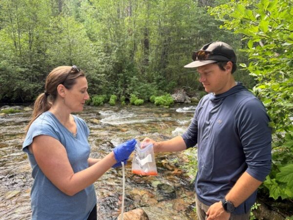 A woman and man collect water samples at a creek bed.