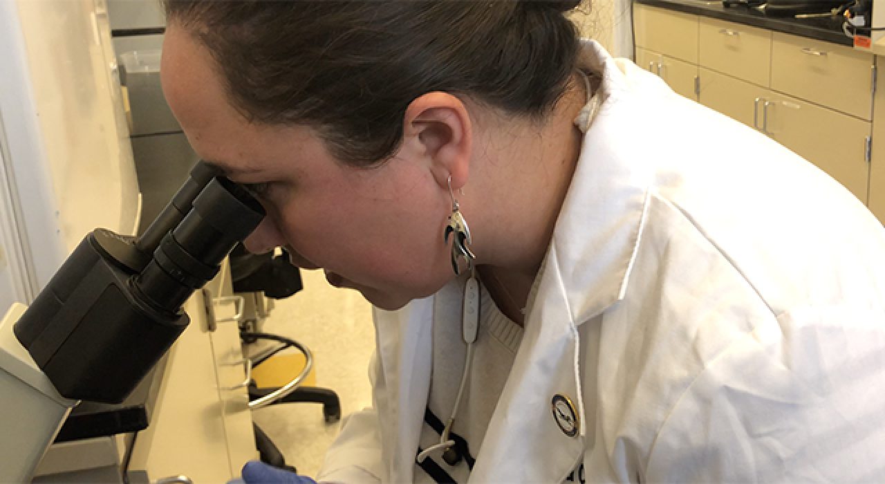Althea Campuzano is working to develop a vaccine for a fungus that causes Valley Fever.