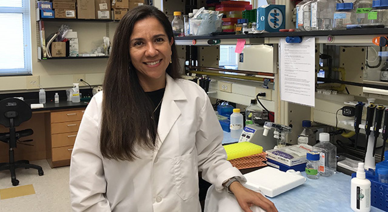 A member of UTSA’s South Texas Center for Emerging Infectious Diseases