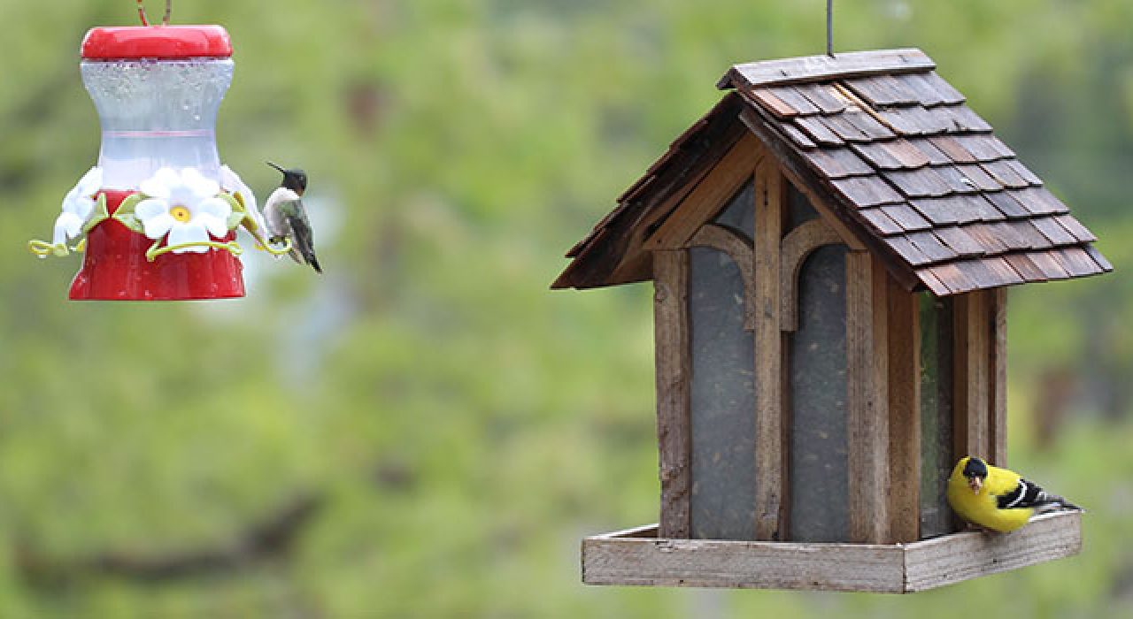 Photo credit: Eres Gomez