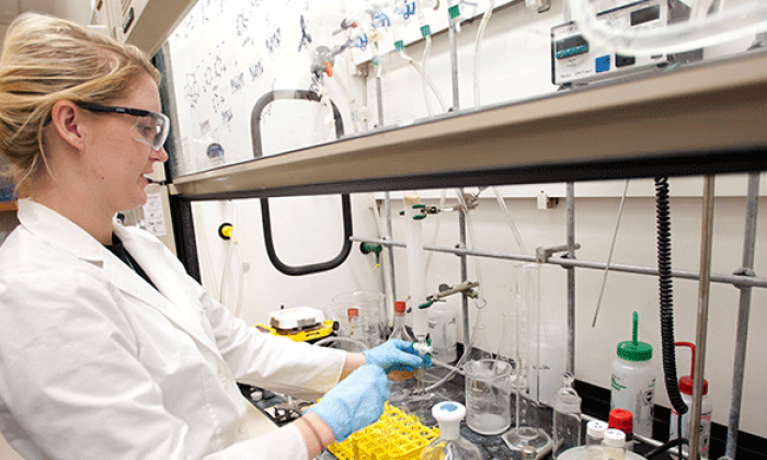 UTSA joins prestigious network for STEM education and development