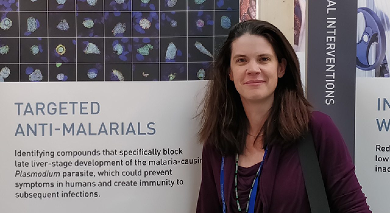 Hanson’s research focuses on the cellular and developmental biology of malaria parasites.