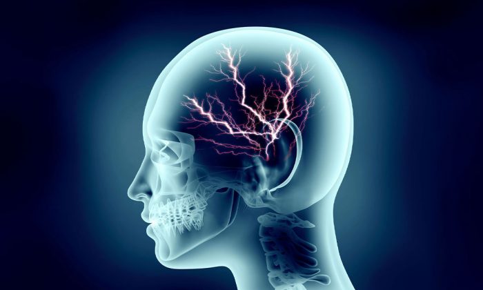Neuronal imaging system allows scientists to see pain in real time