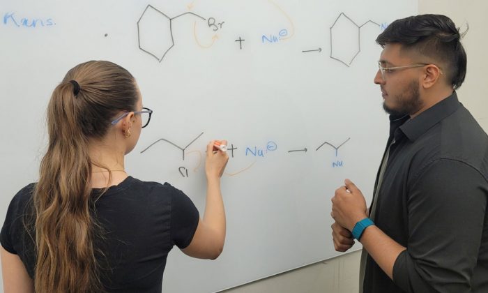 Supplemental instruction program that helps students excel awarded prestigious accreditation (VIDEO)