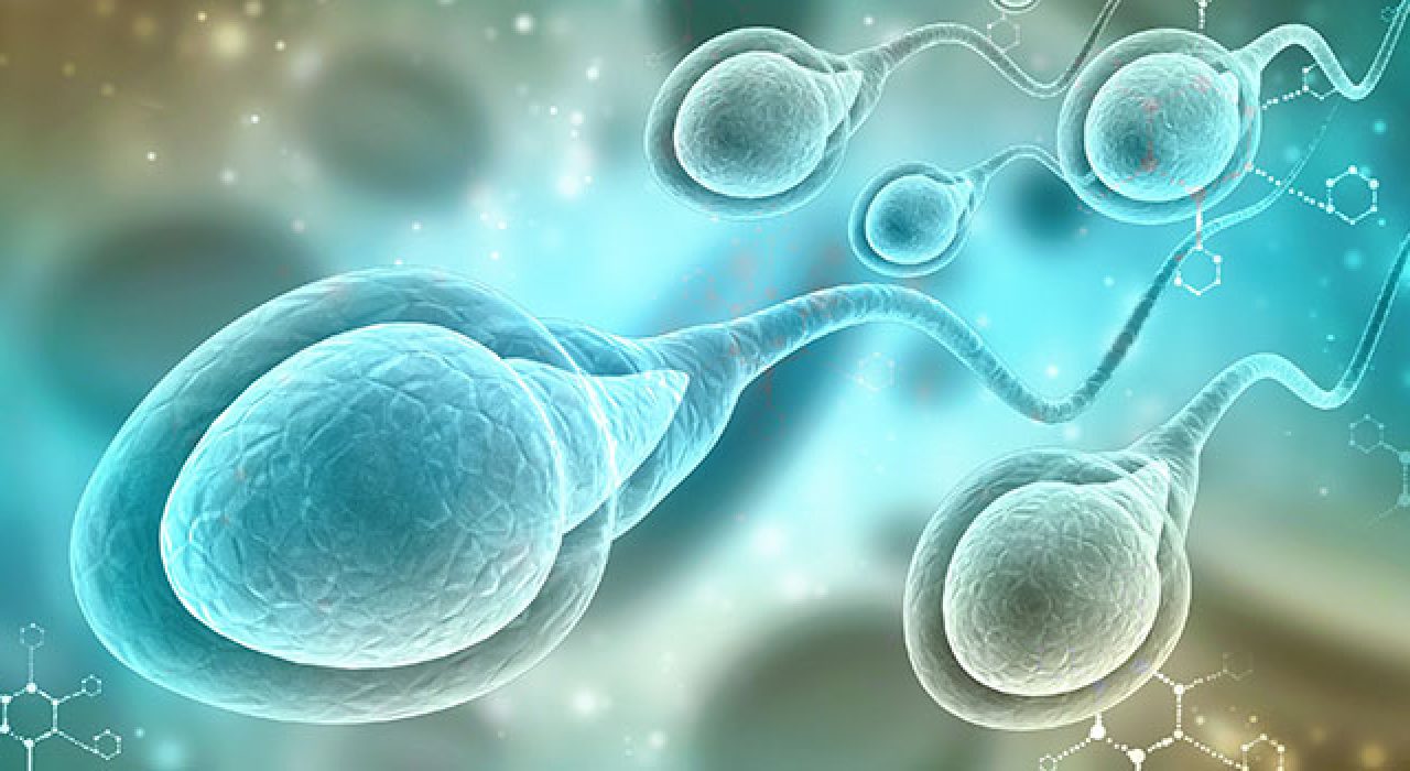 Sperm780