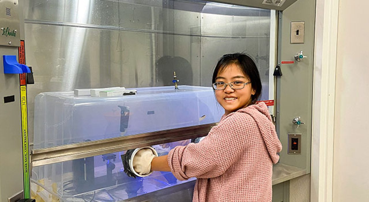 A sample dish in Xinting Yu's lab containing a quarter-sized