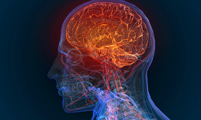 Hand-in-hand: UTSA, UT Health SA team studying compounds to treat brain cancer