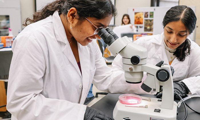 UTSA’s degree programs intentionally align with state’s workforce needs