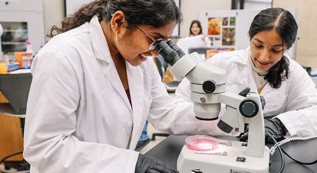 career-paths-story_780