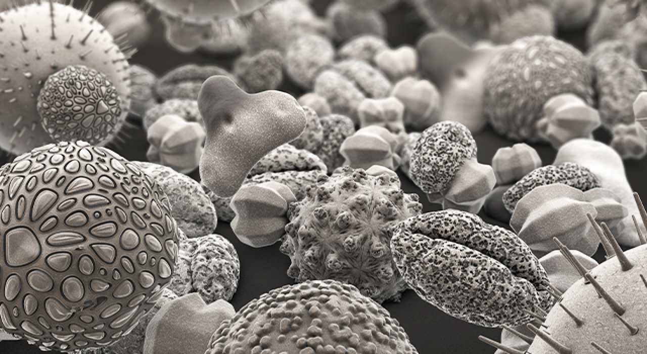 electron-microscope-slide_780