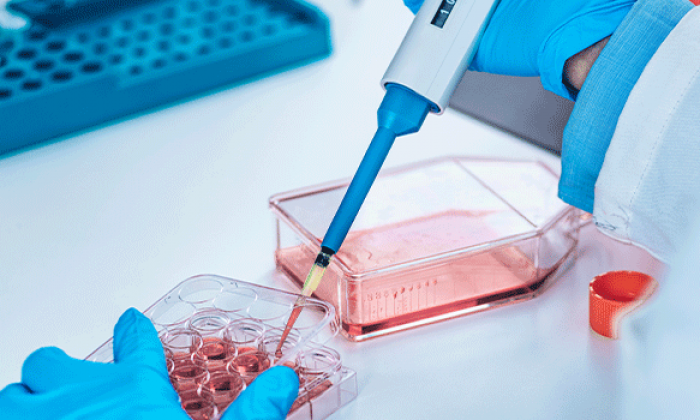 UTSA researchers test new approach to explore epimutations