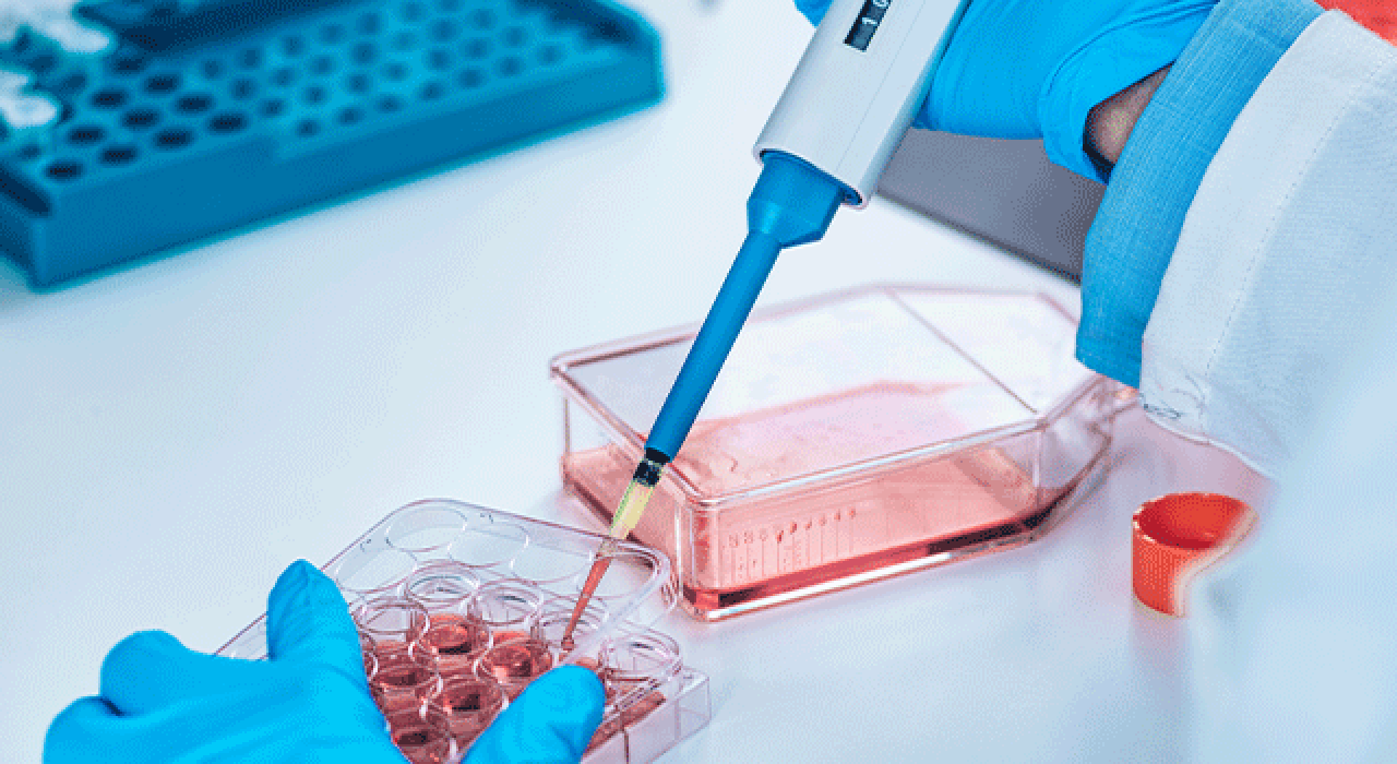 epigenetics_780