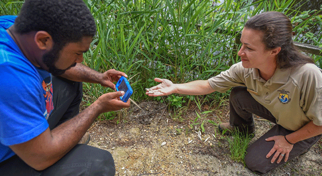 A U.S. Fish and Wildlife Service employee holds shells for a young man to photograph with his cell phone.