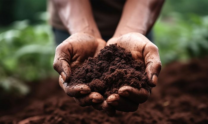 Researchers at UTSA to conduct study on soil health with USDA grant