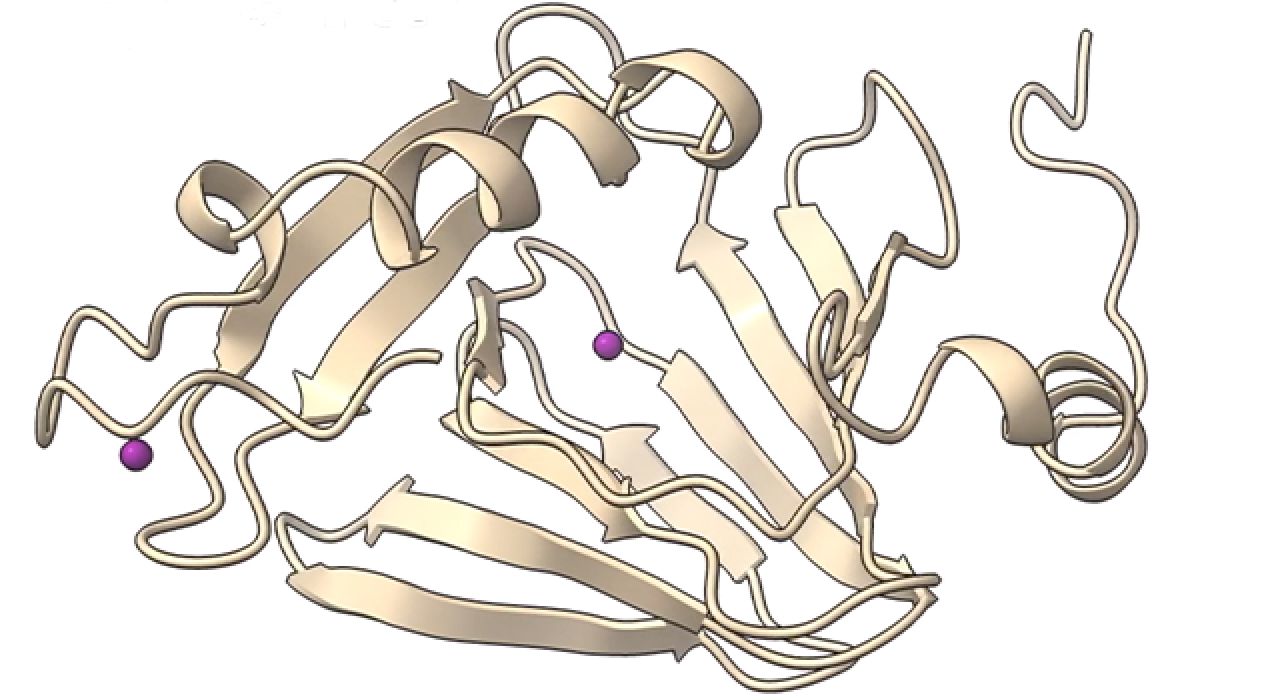 hao-enzyme_780