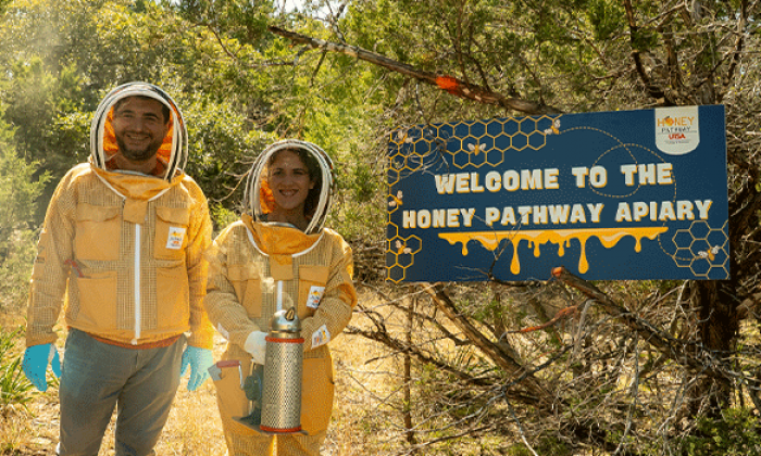 UTSA students explore medicinal potential of honey