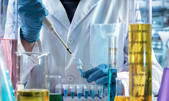 Students earn coveted NSF fellowships to pursue research