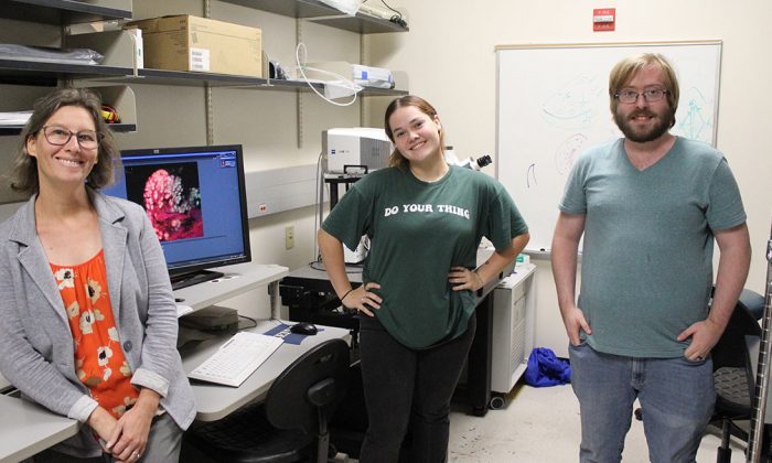 UTSA researchers make gains in understanding taste loss