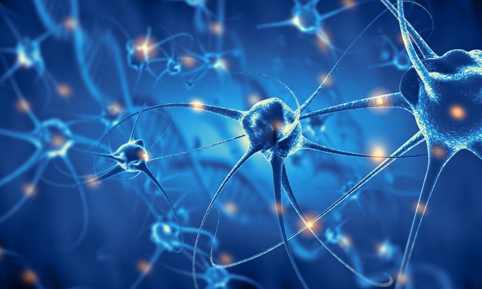 Physicists make groundbreaking discoveries, opening new paths to combating devastating diseases