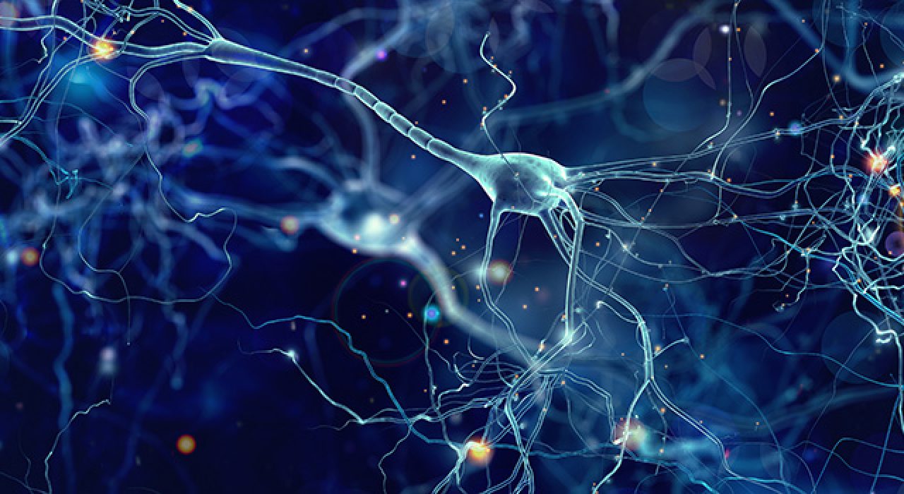 neuron780