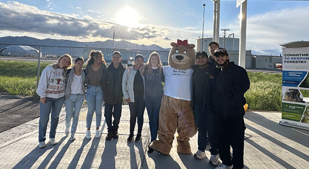 paid-internship_7801 paid-internship_7801