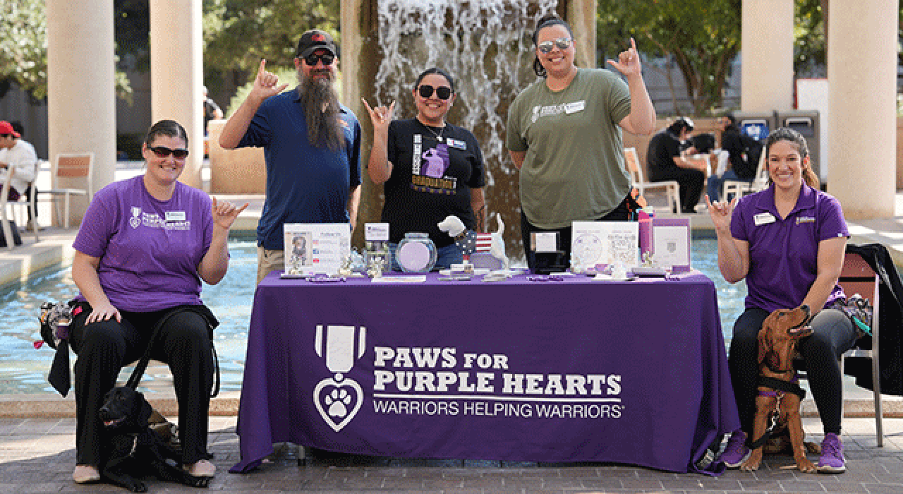 paws-for-purple-hearts_780