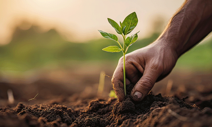 UTSA leads program training students for agriculture, conservation careers