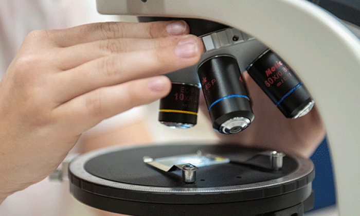 Editor’s Choice: R&D work at UTSA contributes to UT System’s ranking