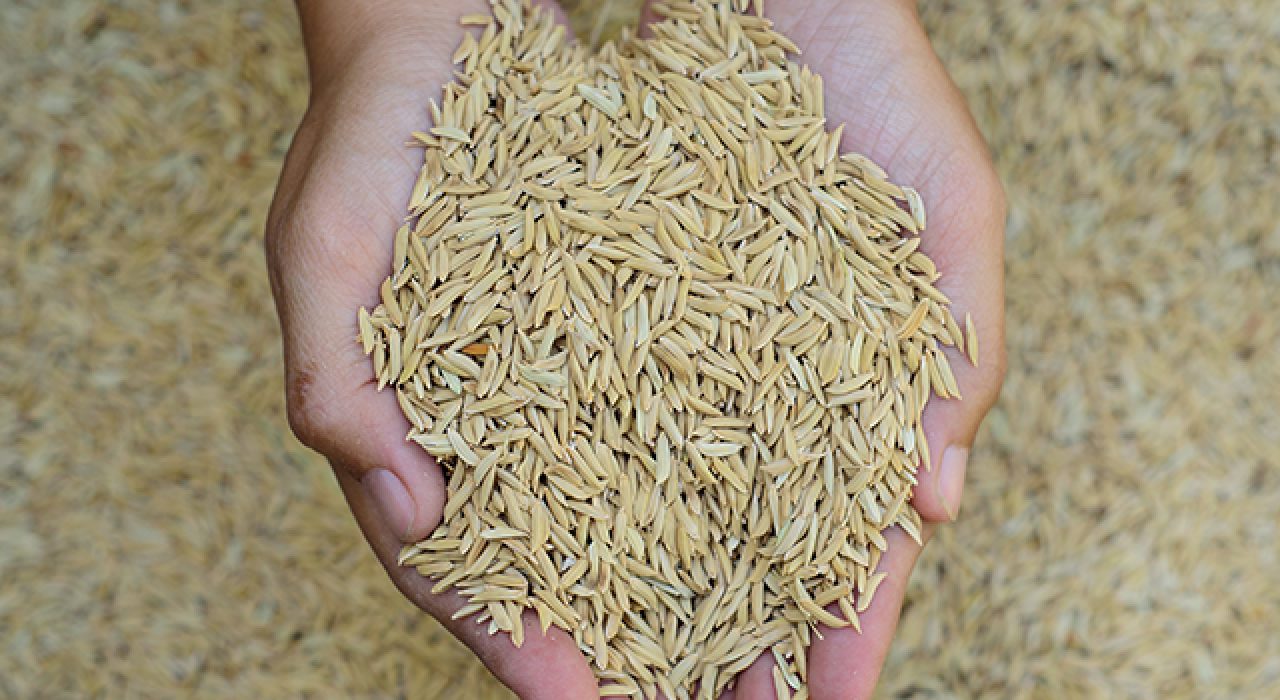 rice780