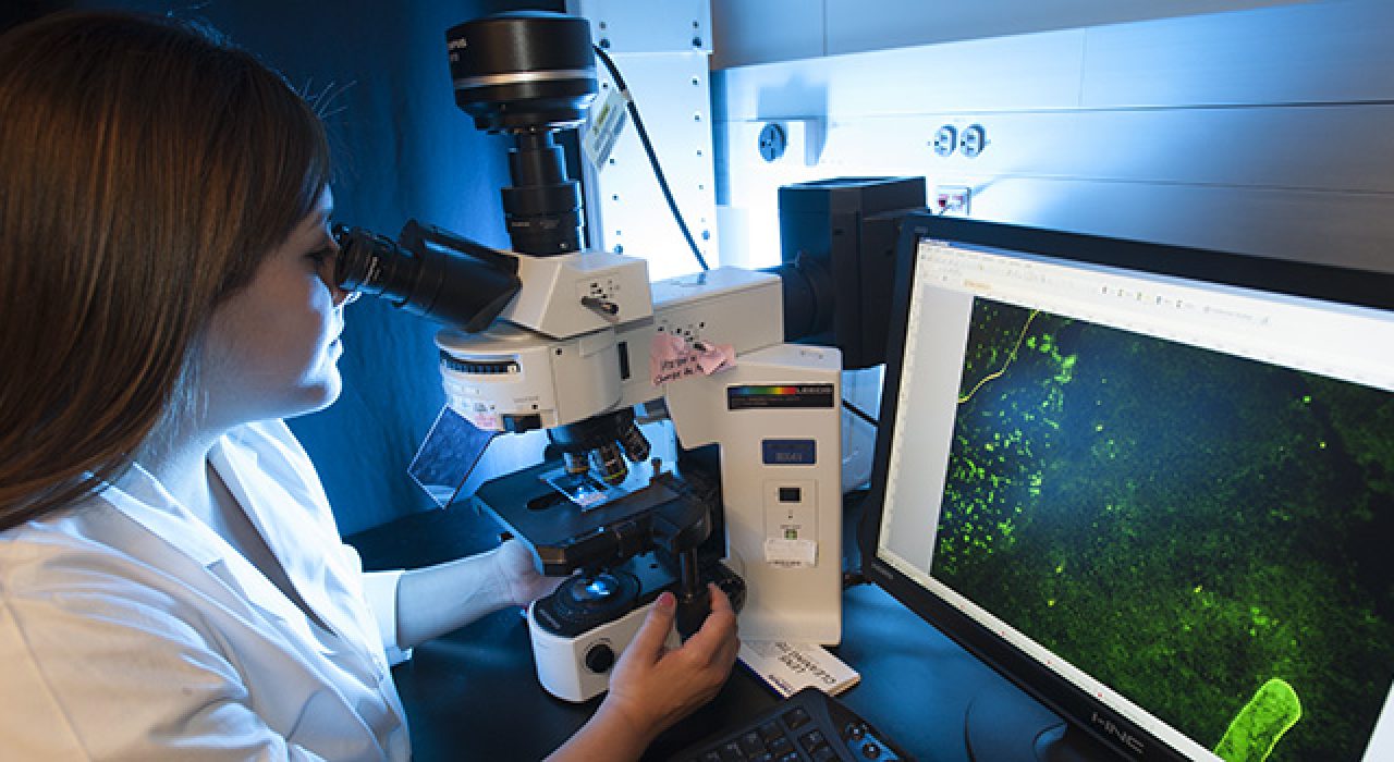 Over the next two years